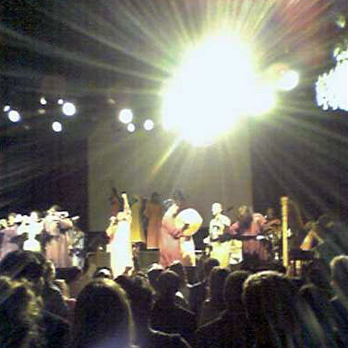 polyspree3.jpg